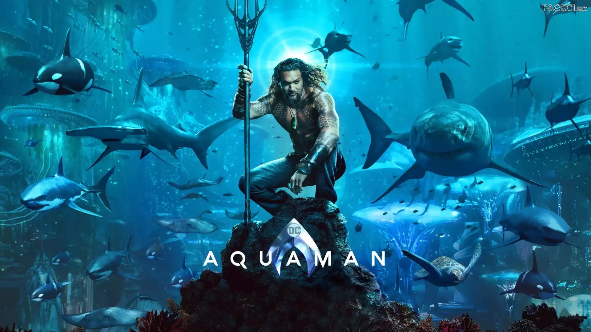 Aquaman, Jason Momoa, Film, Aktor